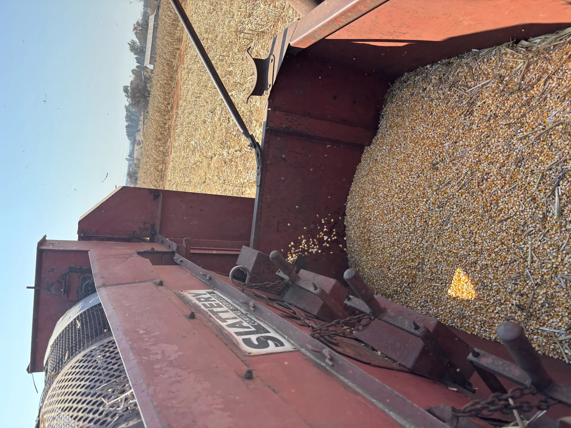 Farmer closely examining crop health